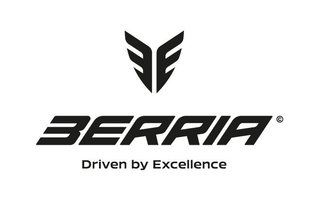 Berria Imagoptipo Positivo